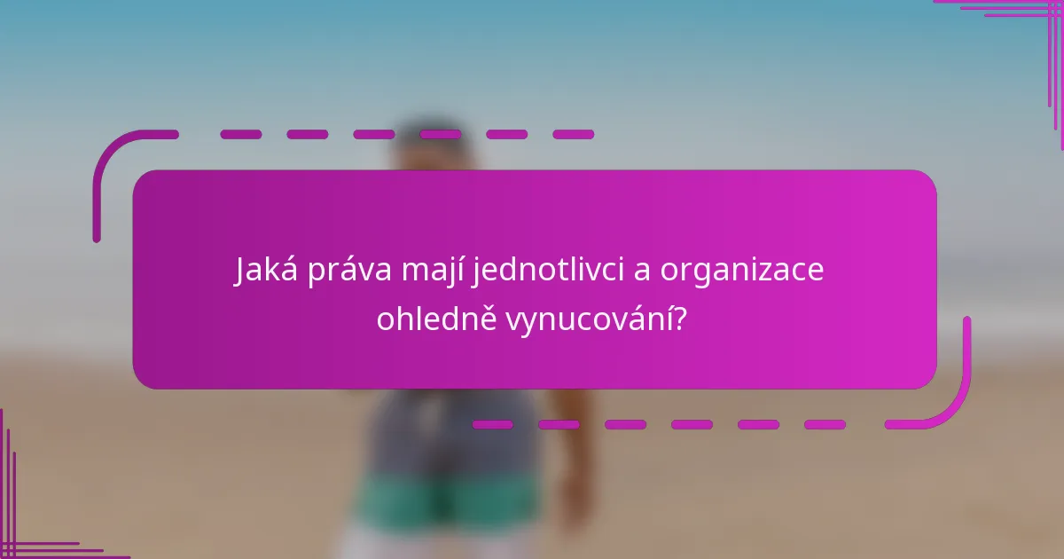 Jaká práva mají jednotlivci a organizace ohledně vynucování?